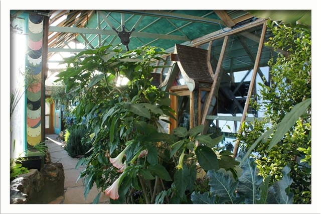 The lush greenhouse area