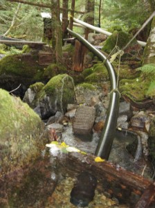 micro hydro intake in Swift Creek